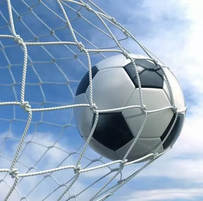 Futbolo vartų tinklas Netex 5x2x0,8x1,5m PE3mm (2vnt)
