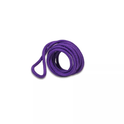 Gimnastikos šokdynė Amaya 3m Purple